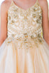 Girls Multi Color Illusion Sparkly Tulle Special Occasion Dress 4-16 - SophiasStyle.com